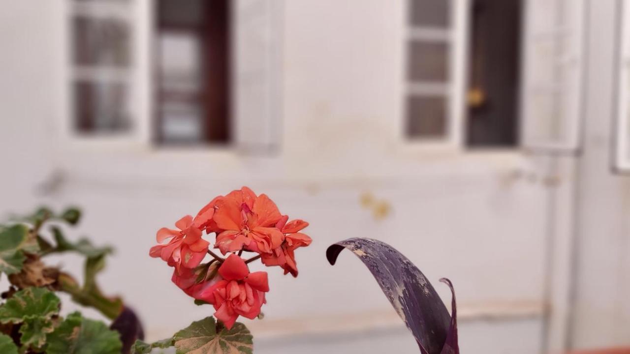 شقة Del Parque Flats Alamos Terraza مالقة المظهر الخارجي الصورة